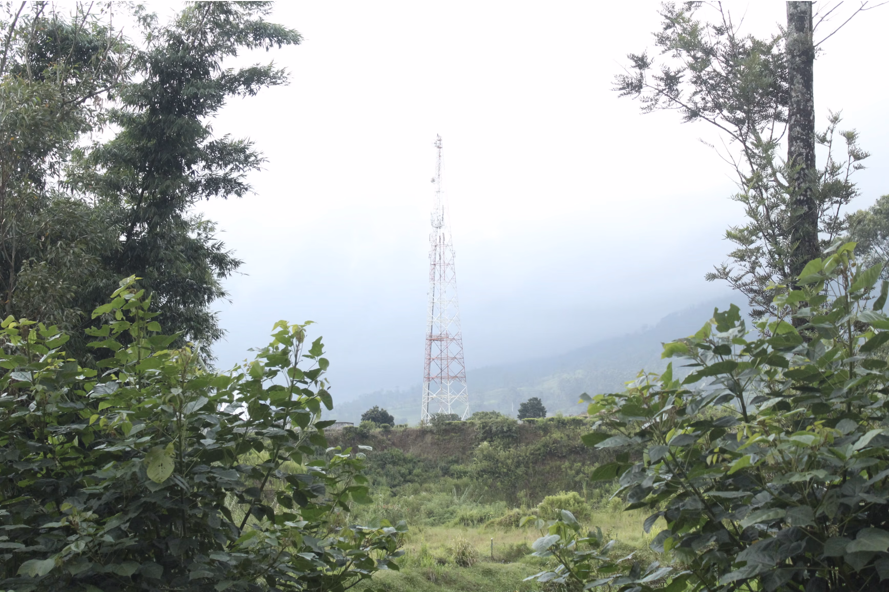 Invest in Telecom Lease Income